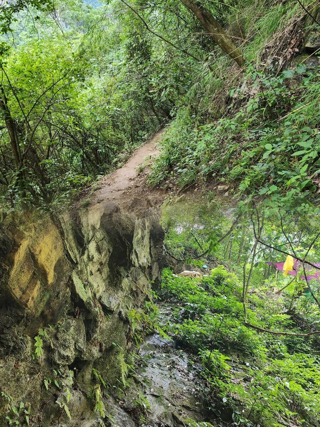 終於和野生瀑布來了一次零距離接觸