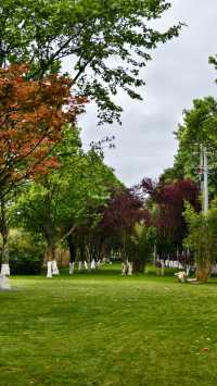 貴陽觀山湖丨當地人平均每週去3次的城市花園