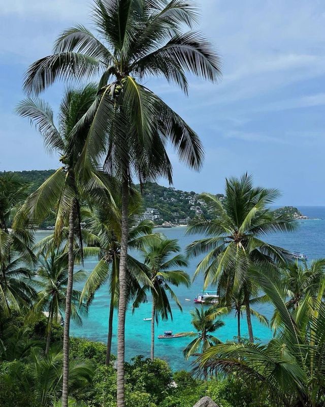 如果在泰國只去一次海島，那麼我建議！