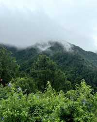 清遠山上的懸崖無邊泳池民宿