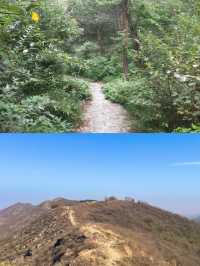 濱州鄒平市鶴伴山國家森林公園