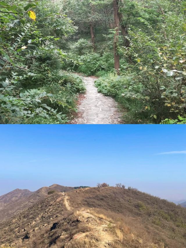 濱州鄒平市鶴伴山國家森林公園