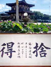 東林寺|江西旅遊除了廬山我更建議你來這裡