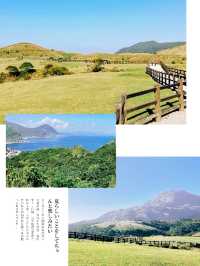 擎天崗：大自然韻律，難忘郊遊之旅