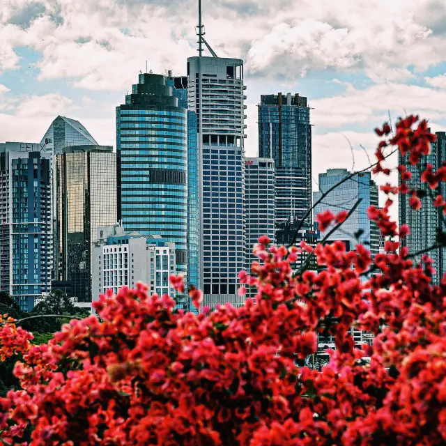 Kangaroo Point | Explore the nature and magnificence on the edge of the city.