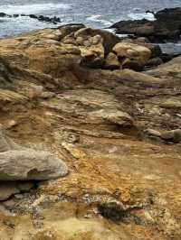 Point Lobos 州保護區。