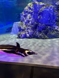 The Super Family Friendly Sumida Aquarium, The Wonders Of the Deep In Tokyo!