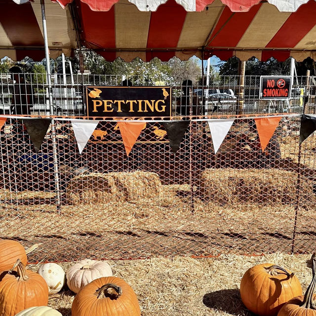 Spooky Halloween Attractions In the Haunted house