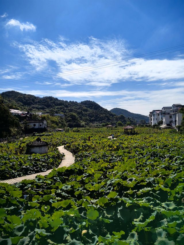 金華嵩溪古村丨隱世近八百年的古村落。