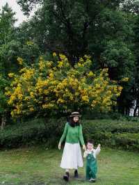 誰不知道，成都這個公園這麼適合拍照！！。