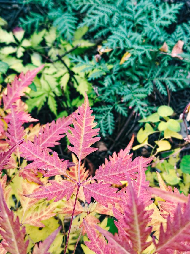 北京金海湖 | 一半山川一半湖海，快去美瘋了！。