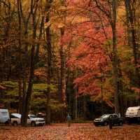 Color falls in chengdu outdoor activities 