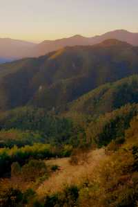 開車兩小時也要看的夕陽，在這座茶山。