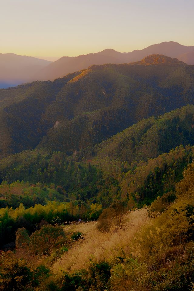 開車兩小時也要看的夕陽，在這座茶山。