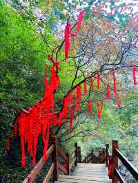 濰坊青州黃花溪 | 絕美秋景，邂逅自然之美。