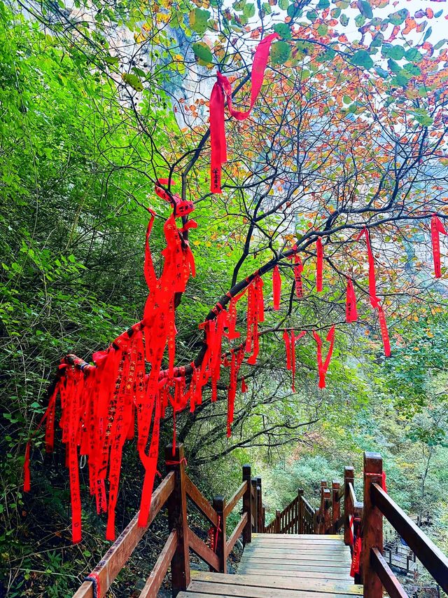 濰坊青州黃花溪 | 絕美秋景，邂逅自然之美。