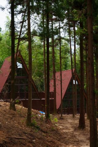 大崎山。