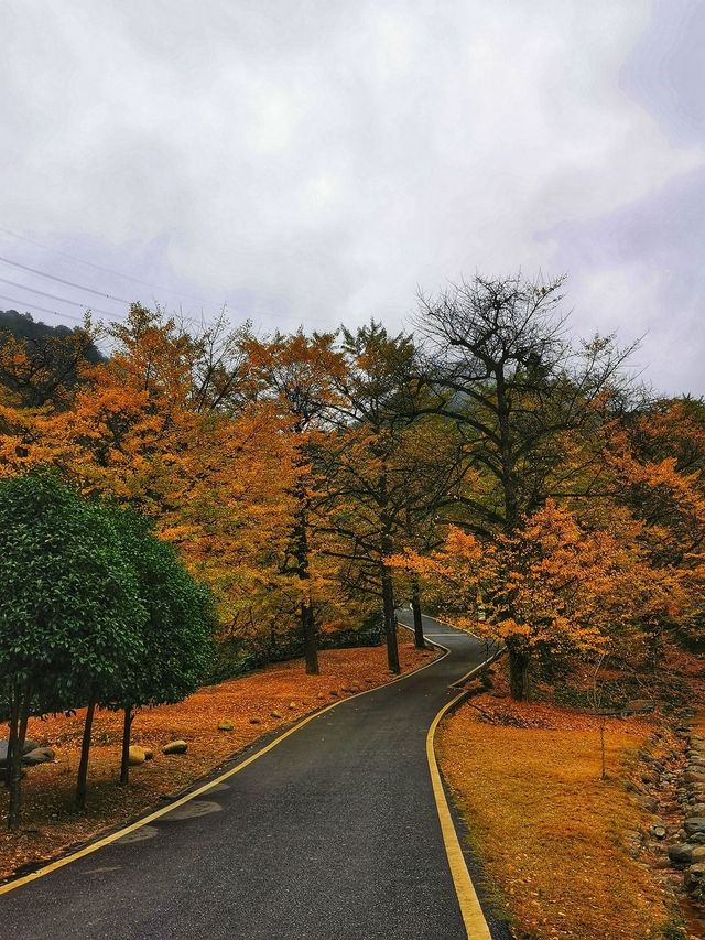 湖南永州｜桐子坳｜賞秋好去處。