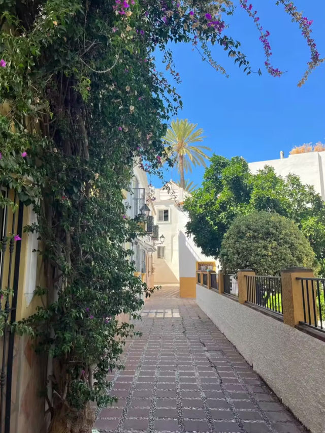 Marbella old town is unbelievable 🇪🇸 