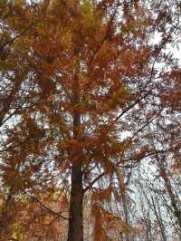西安雁南公園|這裡的公園不一樣。