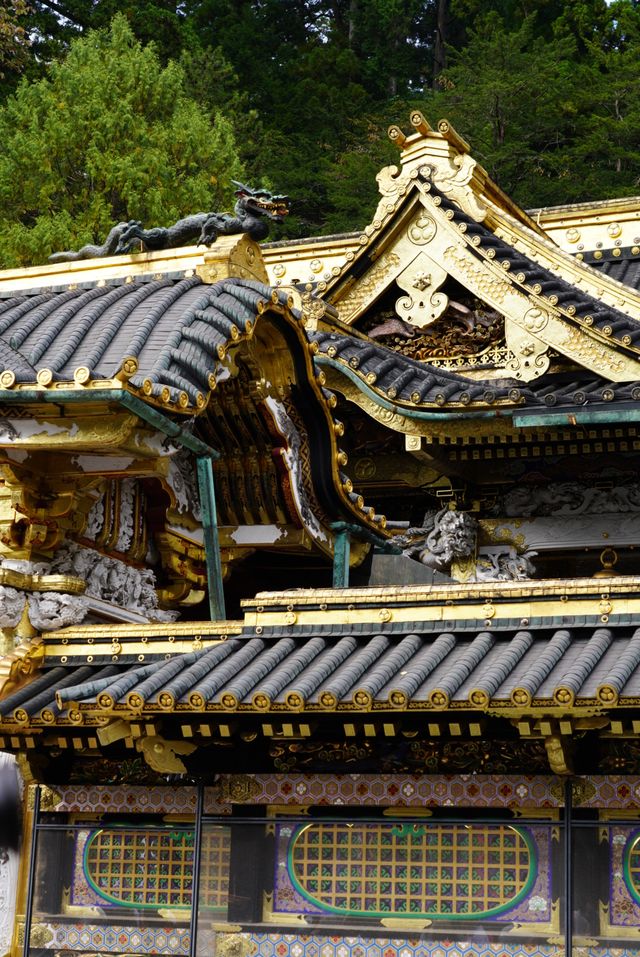 Nikko Toshogu Shrine: Expensive but Worth It