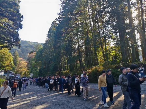 Travel Experience to Nikko's Toshogu Shrine on November 3rd