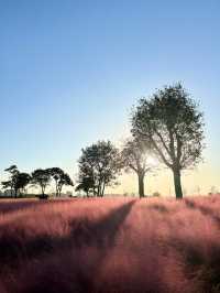 漢長安城遺址公園|規模宏大。