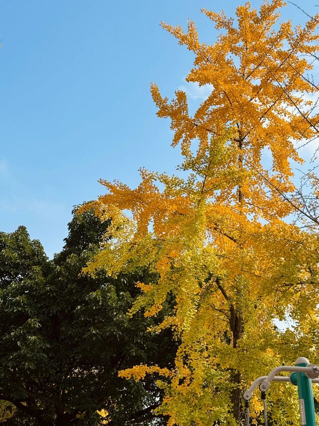 南充-廣元-漢中6日風情 一篇就夠 錯過會後悔哒。