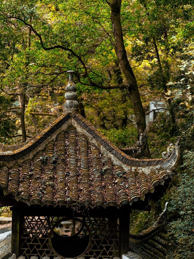貴州秘境探險：明代飛雲崖的靜謐時光 。