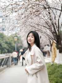 成都的春天來啦快來東湖公園。