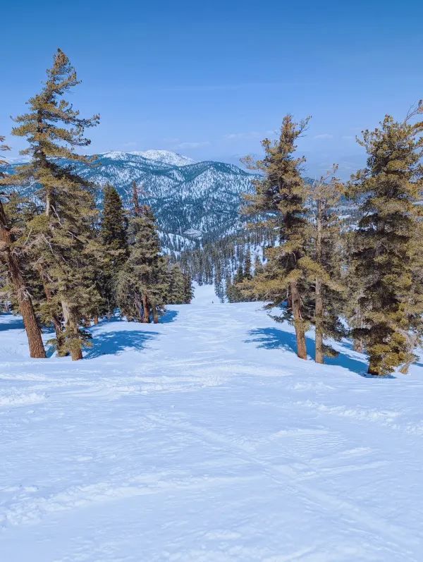Unexpectedly Perfect Snow Days in April at Heavenly