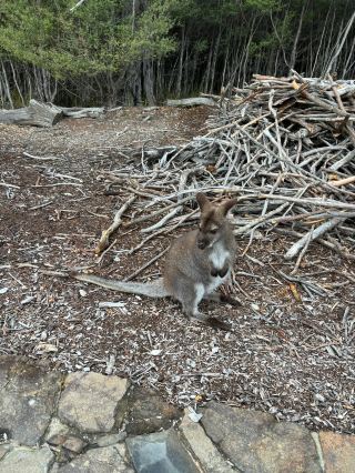 7-Day Australia Travel Guide
