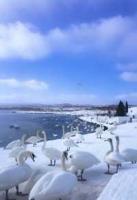冬季威海美得令人驚嘆！必看18個絕美雪景打卡地