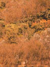 懶人式戶外聖地，騎行、露營、徒步、遛娃，滎陽索河郊野濕地公園