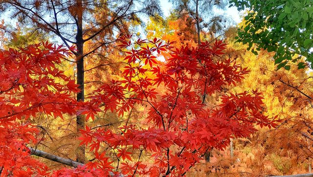 真的不想叫你來這裡｜梅隴生態公園