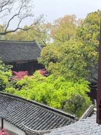 冬日黃山3日遊美景不打烊