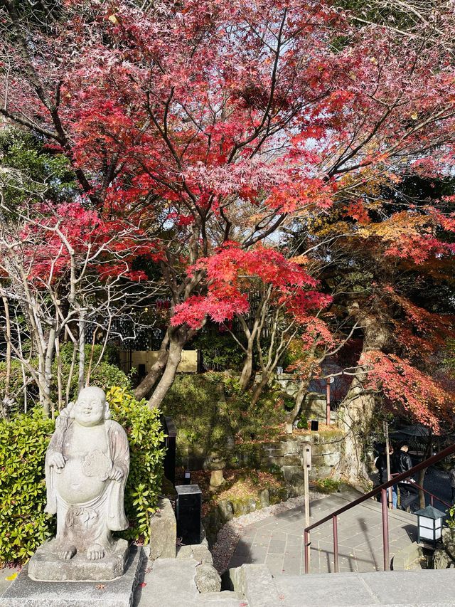 日本·神奈川鎌倉