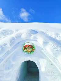 東北打卡不只有爾濱，長白山最美雪屋！