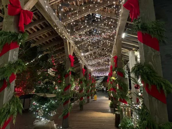 Capilano Suspension Bridge Park during Christmas Month