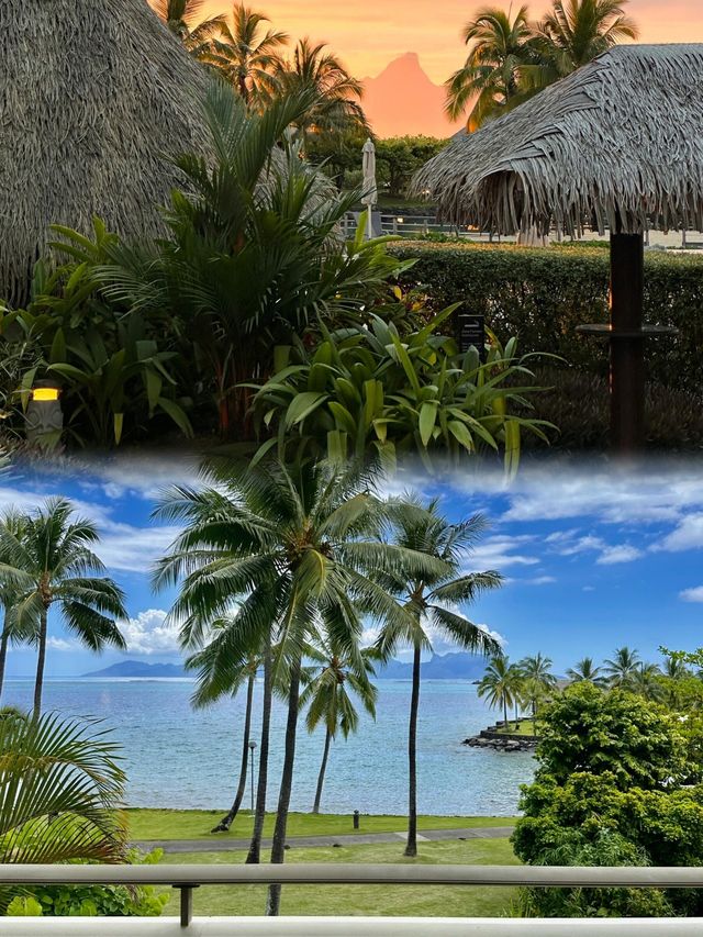大溪地洲際酒店——我的奢華海島之旅