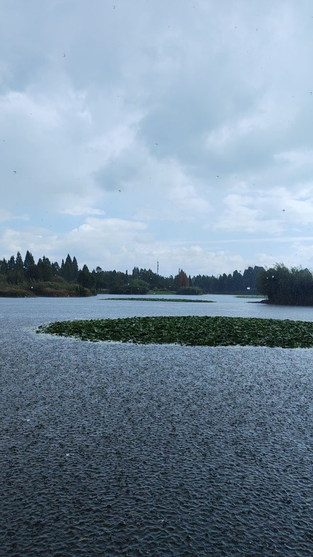 昆明市官渡區寶豐濕地公園，風光無限好
