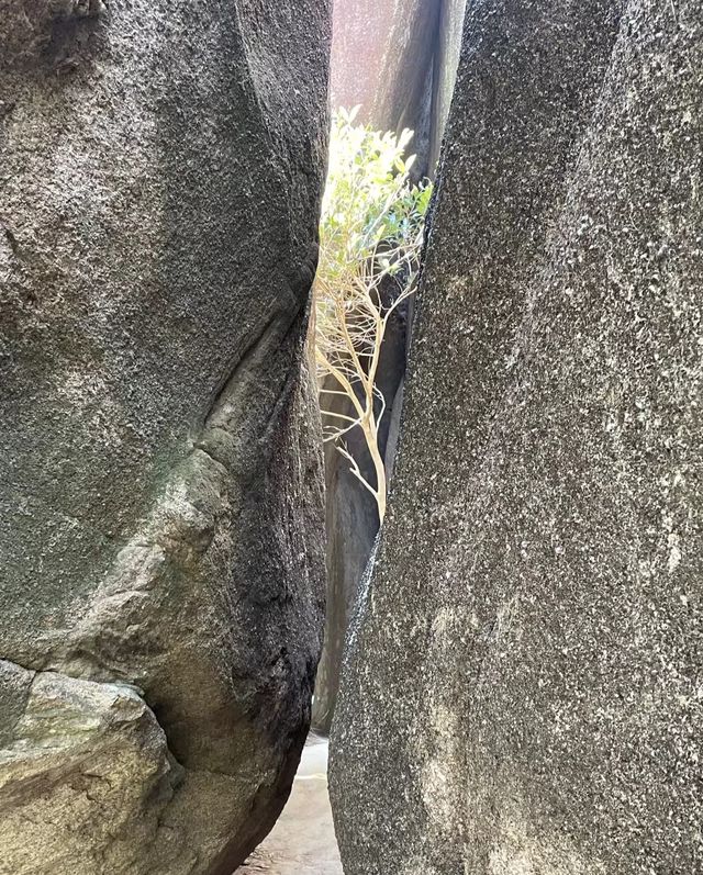 雲髻山，大自然的絕美畫卷