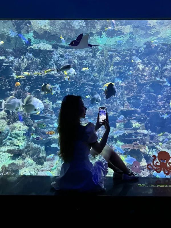 Hong Kong Ocean Park is Perfect for Cloudy Days!