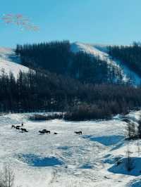 南方小土豆北上冬日追雪冷門地呼和浩特