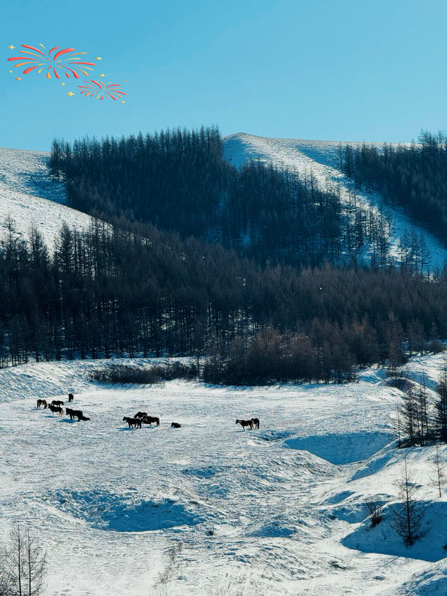 南方小土豆北上冬日追雪冷門地呼和浩特