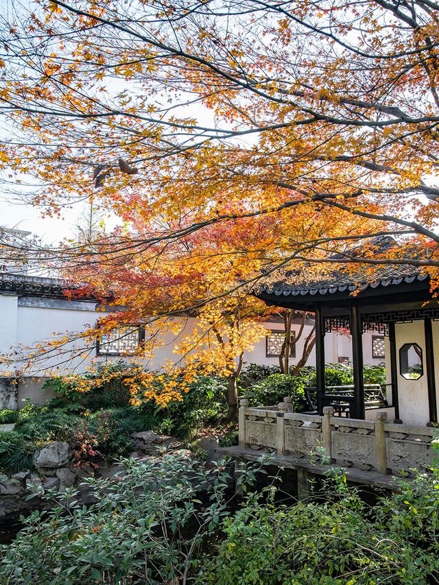 上海桂林公園