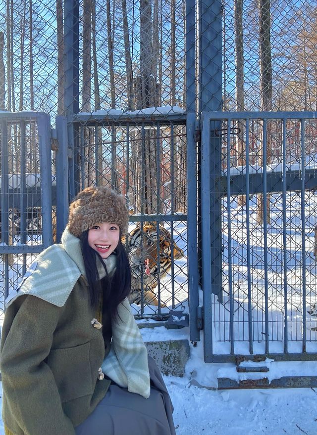 先出發再說｜北京出發週末往返橫道河子看雪！