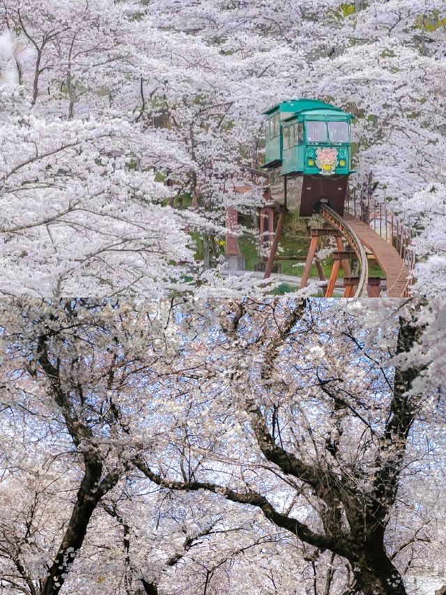 日本的隱秘寶藏，等你來探秘！