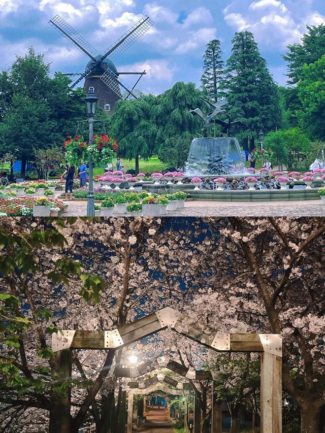 日本的隱秘寶藏，等你來探秘！