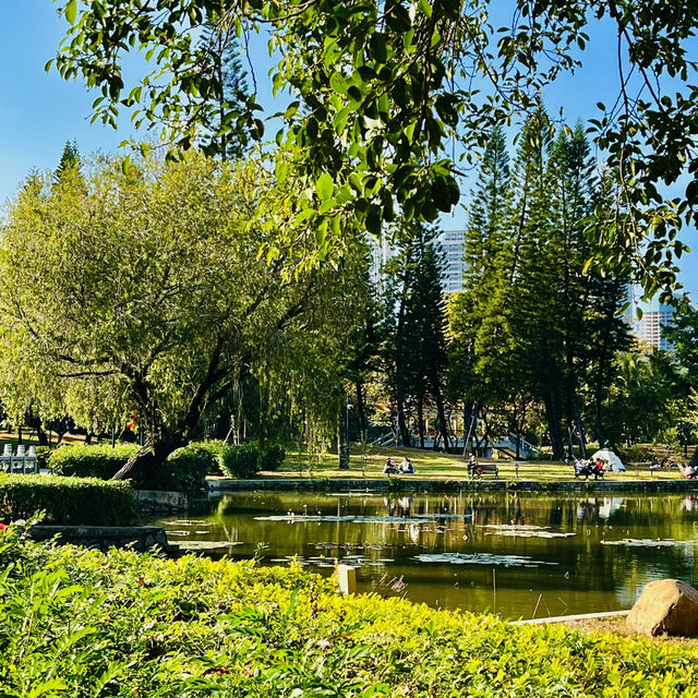 逛逛深圳老牌公園@洪湖公園